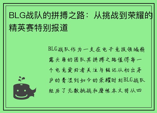BLG战队的拼搏之路：从挑战到荣耀的精英赛特别报道